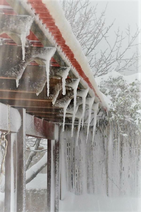 Si-Har Chalets Nimrod Luaran gambar