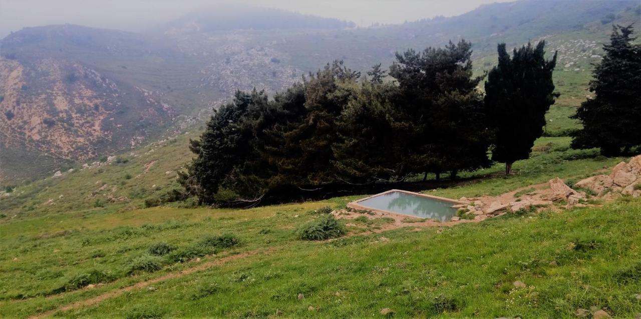 Si-Har Chalets Nimrod Luaran gambar